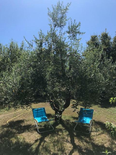 Casa Lory Poggio Murella Luaran gambar